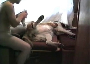 Intense anal drilling with a horny dog