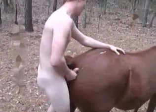 Crazy anal sex for a lusty mare