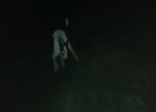 Tiny hound fucking like crazy