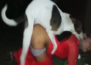 Tiny hound fucking like crazy