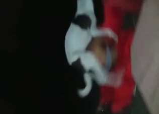 Tiny hound fucking like crazy