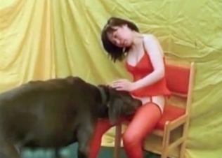 Mutt gets turned on by red stockings
