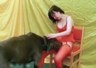 Mutt gets turned on by red stockings