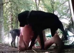 Animalistic sex shot up close