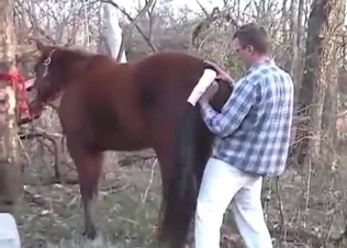 Horse gets finger-blasted