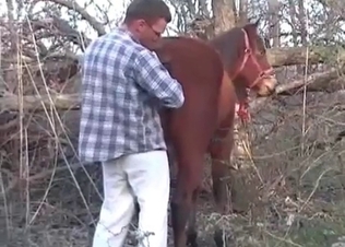 Horse gets finger-blasted