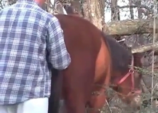 Horse gets finger-blasted