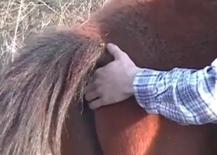 Horse gets finger-blasted
