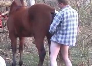 Horse gets finger-blasted
