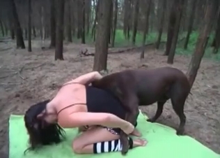 Dog loves outdoors and sex