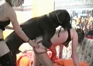 Dog fucking two babes