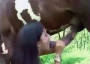 Stacked slut screwed by a hot mustang