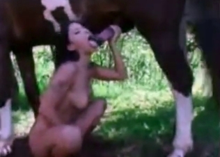 Stacked slut screwed by a hot mustang
