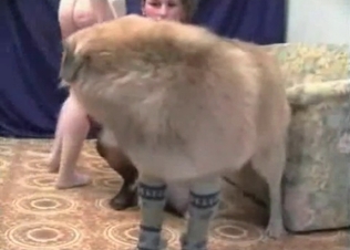 Kinky bitch for a kinky dog