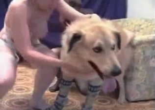 Kinky bitch for a kinky dog