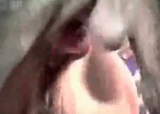 Incredibly shot close-up action with a dog