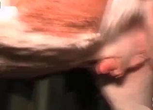 Stallion drilling her holes