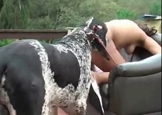 Animalistic, intense fucking from a hound