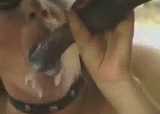 Horse gets to jizz all over her pretty face