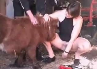 New pony for a hot wife