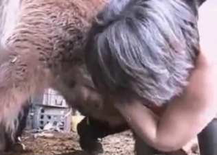 New pony for a hot wife