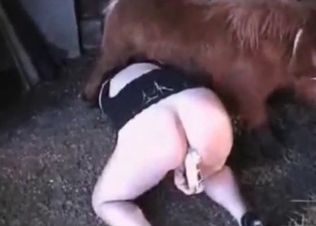 New pony for a hot wife