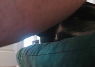 Intense anal sex for a shepherd