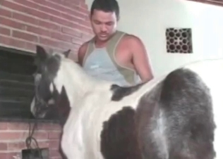 Latina rimming horse asshole