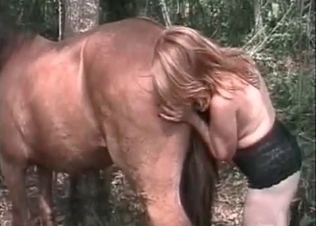 Horse showing its kinkier side