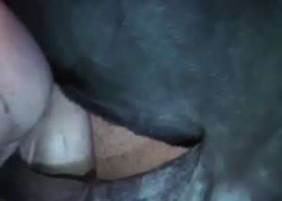 Farm sex gets really kinky