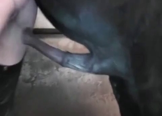 Farm sex gets really kinky