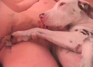 Animal jizz is worth fighting for