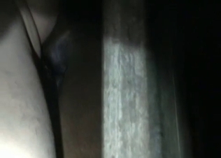 Hungry animal is hungry for sex
