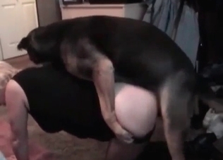 Amateurs exploring animal sex