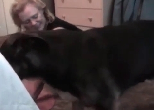 Amateurs exploring animal sex