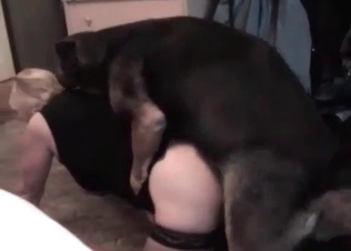 Amateurs exploring animal sex