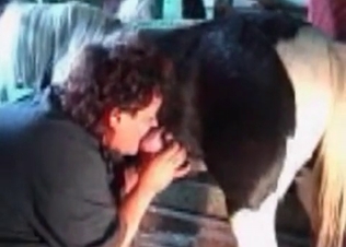Kinky stallion loves that sloppy BJ