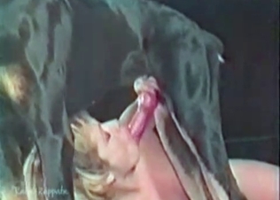 Black dog fucking an amazing chick