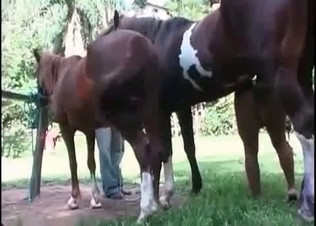 Farmer and a hottie loving that action