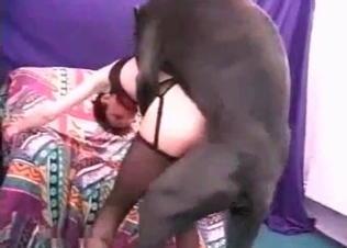 Incredible scene with animals
