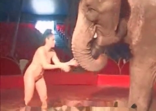 Elephant get some sexual pleasure