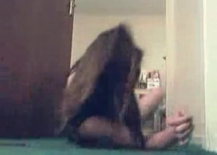 Trained dog showing its worth