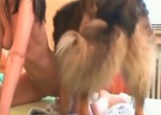 Zoophilic slut with her trained shepherd