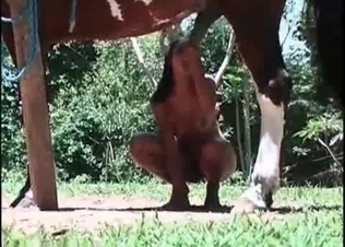 Gorgeous horse fucking a black chick