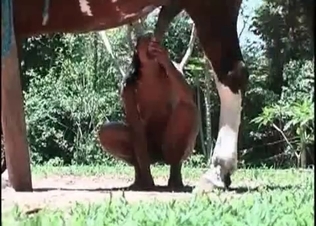 Gorgeous horse fucking a black chick