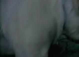 Doggy gets the booty