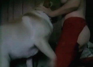 Doggy gets the booty