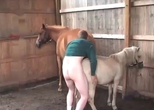 Pony gets fucked by a total pervert