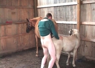 Pony gets fucked by a total pervert