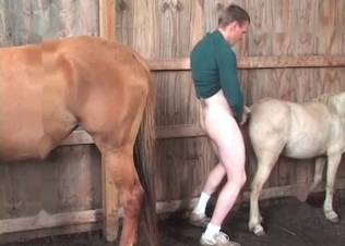 Pony gets fucked by a total pervert